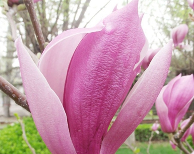 四川省宜賓衛(wèi)生學(xué)校宿舍條件及圖片