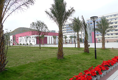 南充技師學(xué)院-校園一角