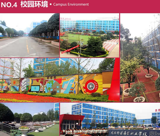 成都市希望職業(yè)學校商業(yè)廣告設計師專業(yè)招生如何