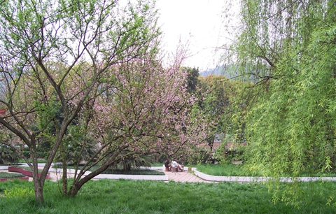 達州職業(yè)技術學院學校環(huán)境