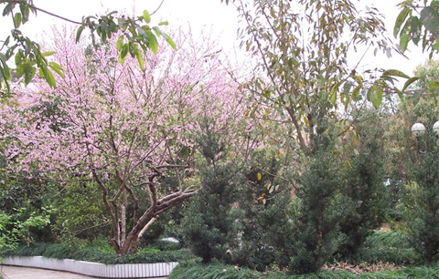 達(dá)州職業(yè)技術(shù)學(xué)院校園風(fēng)光