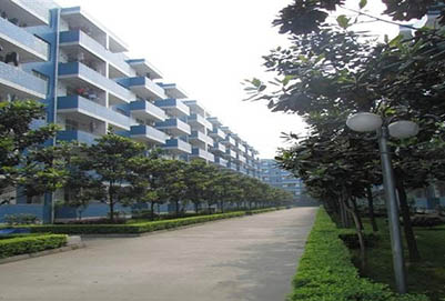 成都市希望衛(wèi)校-護理專業(yè)招生如何