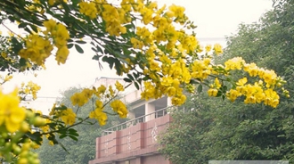 成都華西衛(wèi)校青羊校區(qū)