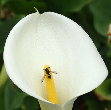 廣元職工醫(yī)學院招生老師QQ及電話