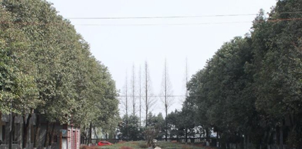 四川大學(xué)附設(shè)華西衛(wèi)生學(xué)校學(xué)校風(fēng)光