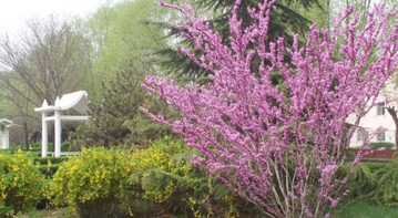 四川省宜賓衛(wèi)生學(xué)校2020招生錄取分?jǐn)?shù)線