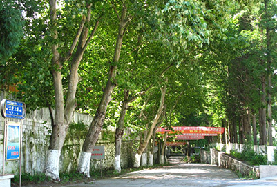 成都職業(yè)技術(shù)學(xué)校的環(huán)境怎么樣 住宿條件好不好