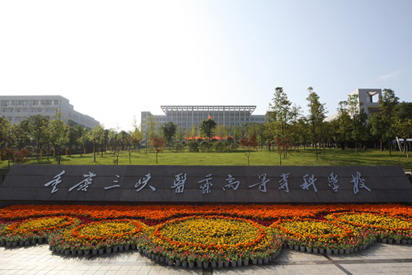 重慶職業(yè)學(xué)校怎么樣