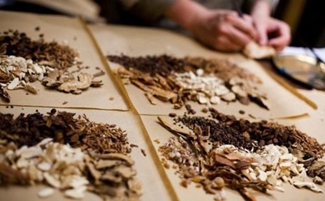 樂(lè)山衛(wèi)生學(xué)校