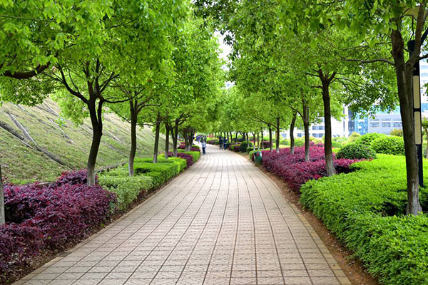 樂(lè)山職高學(xué)院排名