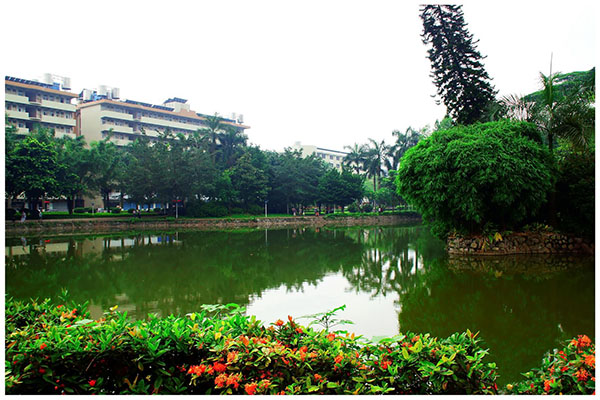 攀枝花職業(yè)學(xué)校排名