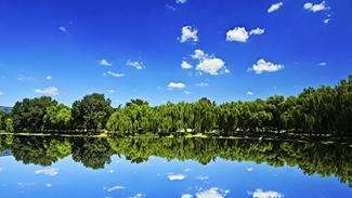 哪些學(xué)校開設(shè)有藥劑專業(yè)