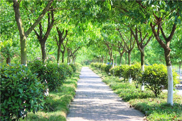 瀘州職業(yè)技術(shù)學校有哪些