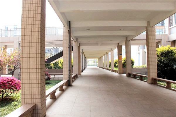 ?？茖W(xué)校哪些好