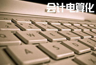 系統(tǒng)掌握會(huì)計(jì)理論和會(huì)計(jì)實(shí)務(wù)