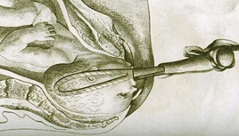 成醫(yī)護理學(xué)校