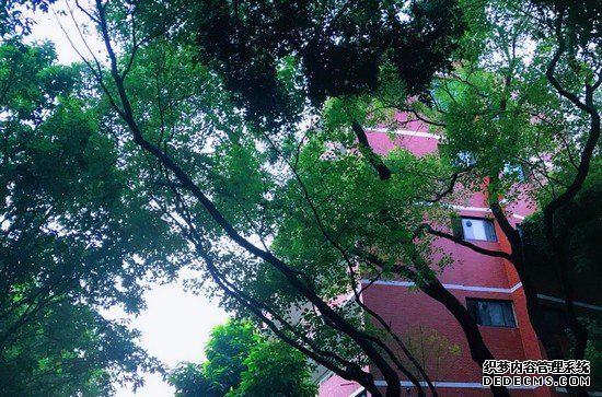 重慶市醫(yī)科學(xué)校招生簡(jiǎn)介及招生計(jì)劃要求