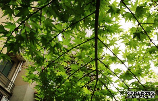 重慶市醫(yī)科學校有哪些專業(yè)及什么專業(yè)好