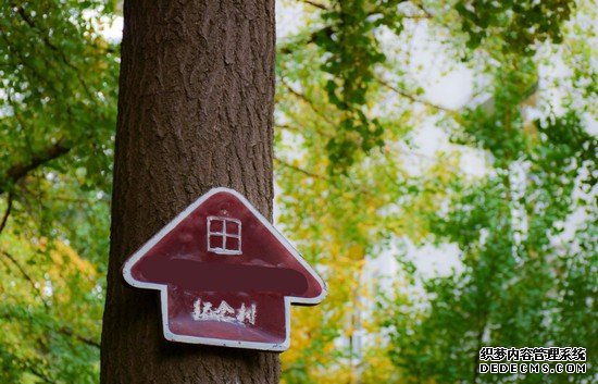 重慶市醫(yī)藥學(xué)校有哪些專(zhuān)業(yè)及什么專(zhuān)業(yè)好