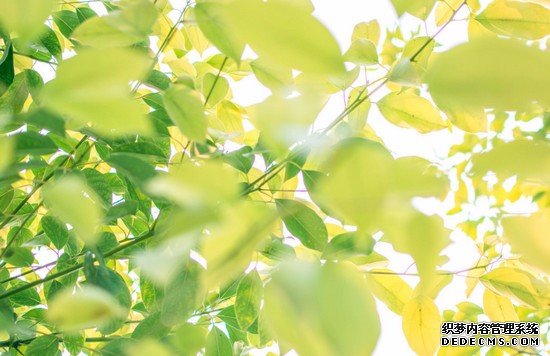 重慶市渝西衛(wèi)生學(xué)校寢室宿舍條件與學(xué)校食堂環(huán)境