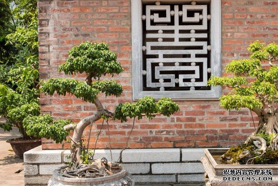 重慶市醫(yī)藥經(jīng)貿(mào)衛(wèi)生學(xué)校有哪些專業(yè)及什么專業(yè)好