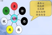 中醫(yī)學(xué)中的七情內(nèi)傷