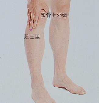 中醫(yī)足三里