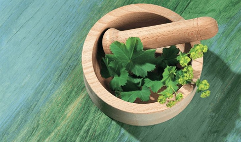 什么是中醫(yī)學(xué)的陰陽？