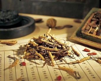 中醫(yī)專業(yè)就業(yè)前景