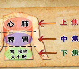 中醫(yī)學專業(yè)好不好？【全】