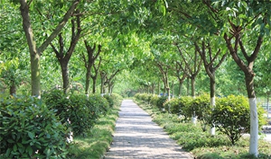 四川科華技工學校