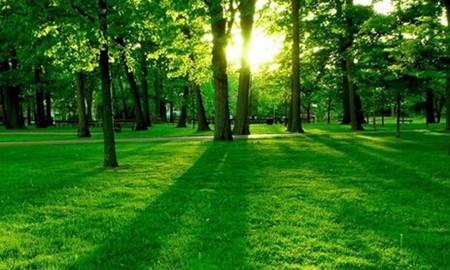 2020森林資源保護(hù)專業(yè)怎么樣_主要課程_就業(yè)方向與前景分析 2020森林資源保護(hù)專業(yè)怎么樣_主要課程_就業(yè)方向與前景分析