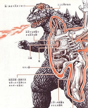 醫(yī)學(xué)影像專業(yè)學(xué)習(xí)解剖嗎？【全】