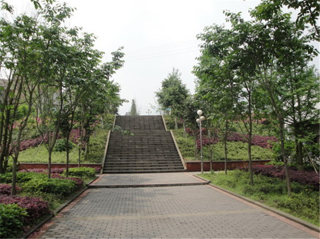 2025年重慶市北碚職業(yè)教育中心招生簡(jiǎn)章