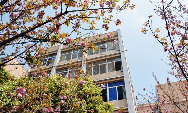 宜賓職業(yè)技術(shù)學(xué)院櫻花園中的教學(xué)樓