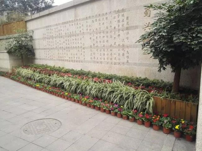 成都蜀興職業(yè)中學學校打門