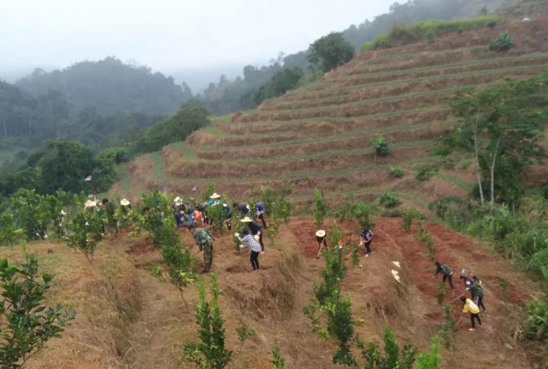 江城縣職業(yè)高級中學江城縣職業(yè)高級中學現(xiàn)代農(nóng)藝技術(shù)專業(yè)招生2