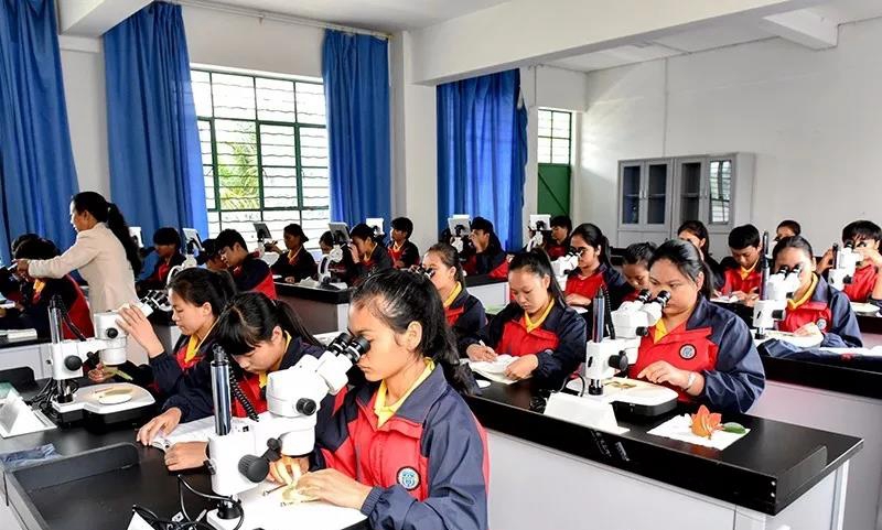 現(xiàn)代農(nóng)藝