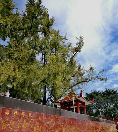 四川省鹽業(yè)學(xué)校校園風(fēng)光