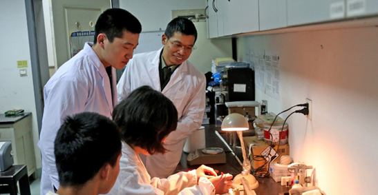 第三軍醫(yī)大學醫(yī)學影像學專業(yè)招生