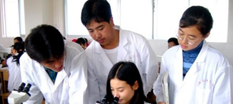 教學(xué)活動 (1)