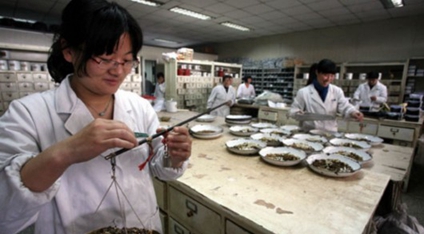 （重慶市衛(wèi)生技工學(xué)校）中藥