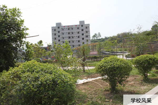 重慶中意職業(yè)技術(shù)學(xué)校