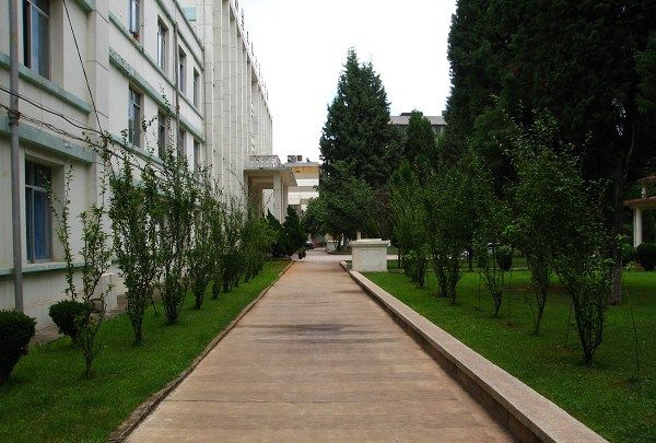 云南農(nóng)業(yè)職業(yè)技術(shù)學(xué)院求學(xué)之路