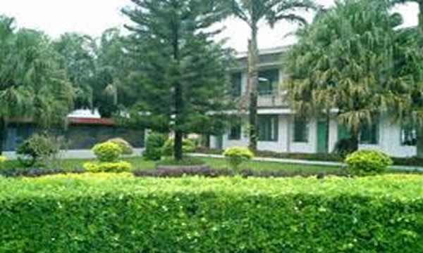 景洪市職業(yè)高級(jí)中學(xué)校園綠化