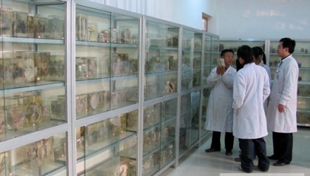 醫(yī)學(xué)檢驗(yàn)技術(shù)