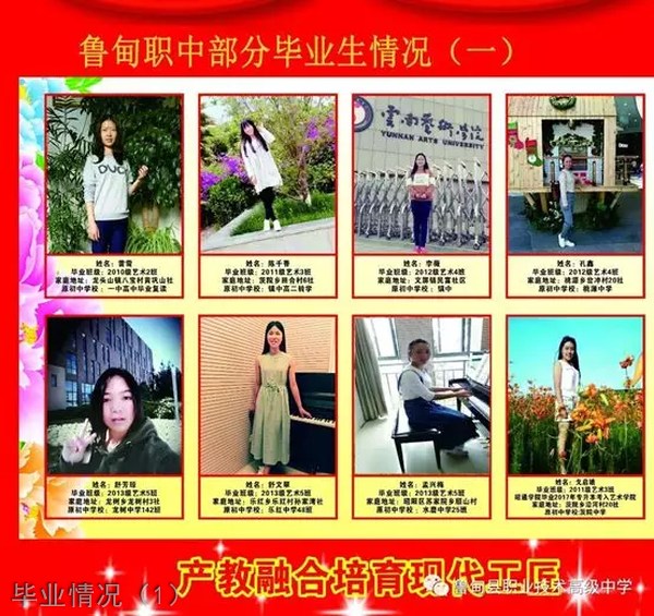 魯?shù)榭h職業(yè)技術(shù)高級中學(xué)畢業(yè)情況（1）