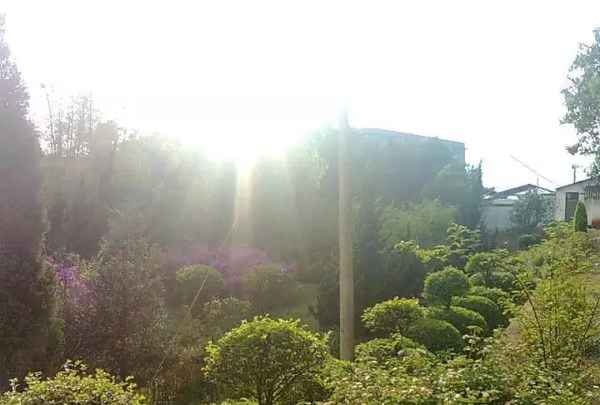 玉溪第二職業(yè)高級(jí)中學(xué)學(xué)校風(fēng)景