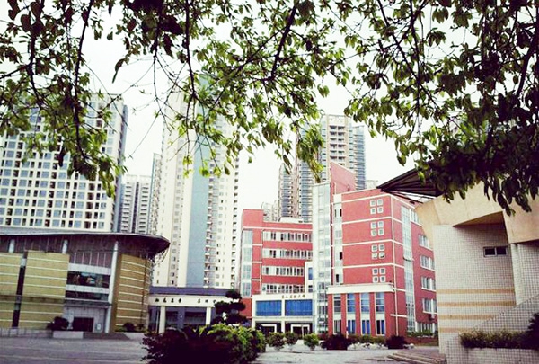 四川省衛(wèi)生學(xué)校(四川護理職業(yè)學(xué)院)第二實訓(xùn)樓和體育館（龍泉校區(qū)）