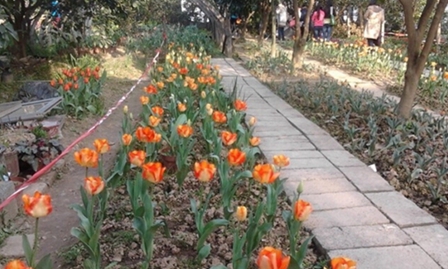 昆明理工大學(xué)醫(yī)學(xué)院臨床醫(yī)學(xué)專業(yè)